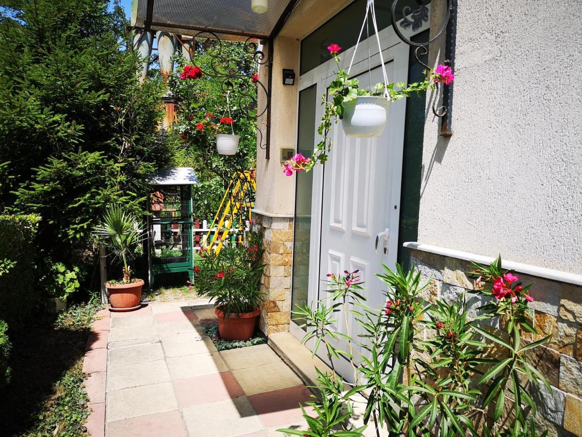 Respekt Guest House Sunny Beach Exterior photo